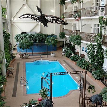 Hotel L'Oie Des Neiges Levis Bagian luar foto