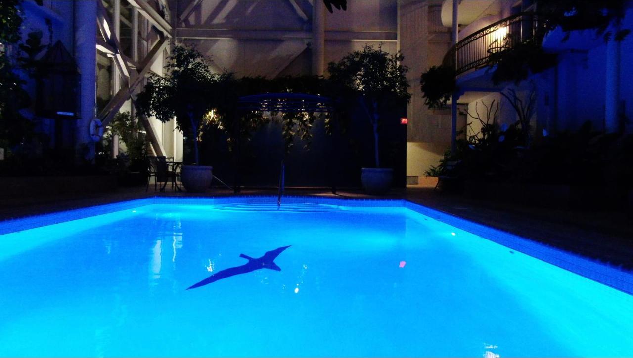 Hotel L'Oie Des Neiges Levis Bagian luar foto