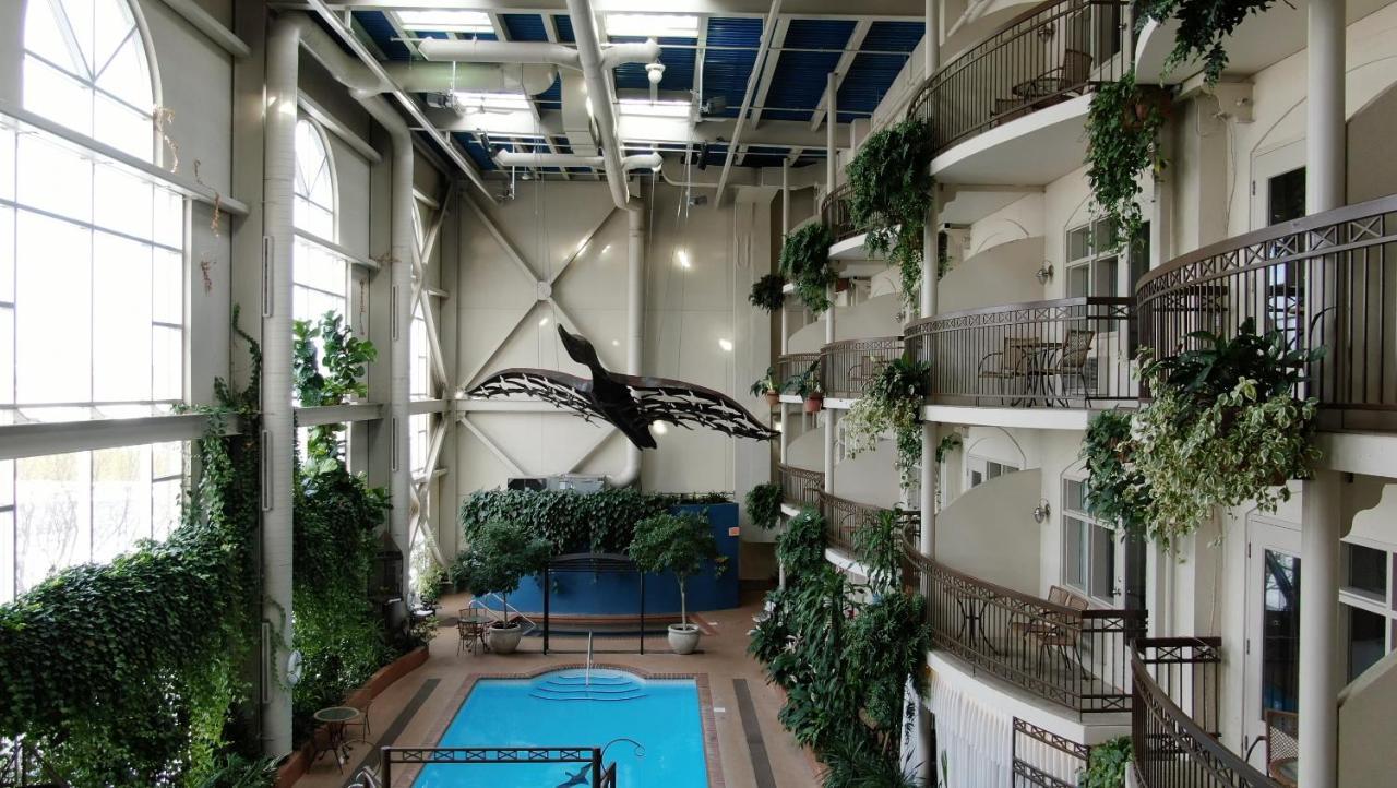 Hotel L'Oie Des Neiges Levis Bagian luar foto