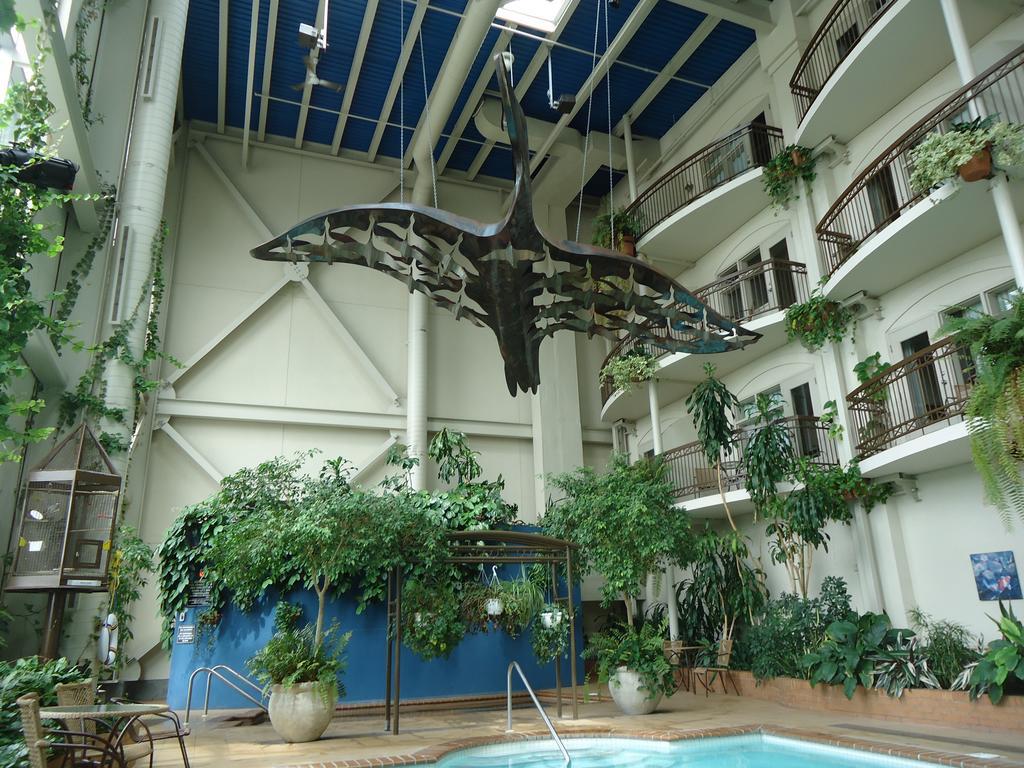 Hotel L'Oie Des Neiges Levis Bagian luar foto