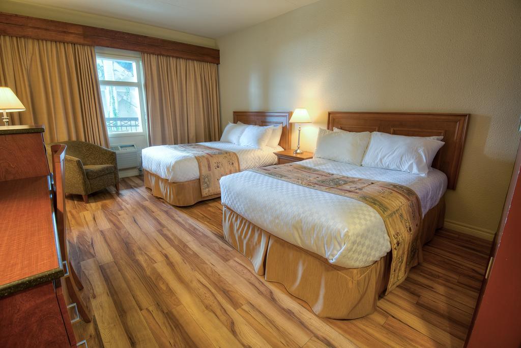 Hotel L'Oie Des Neiges Levis Bagian luar foto