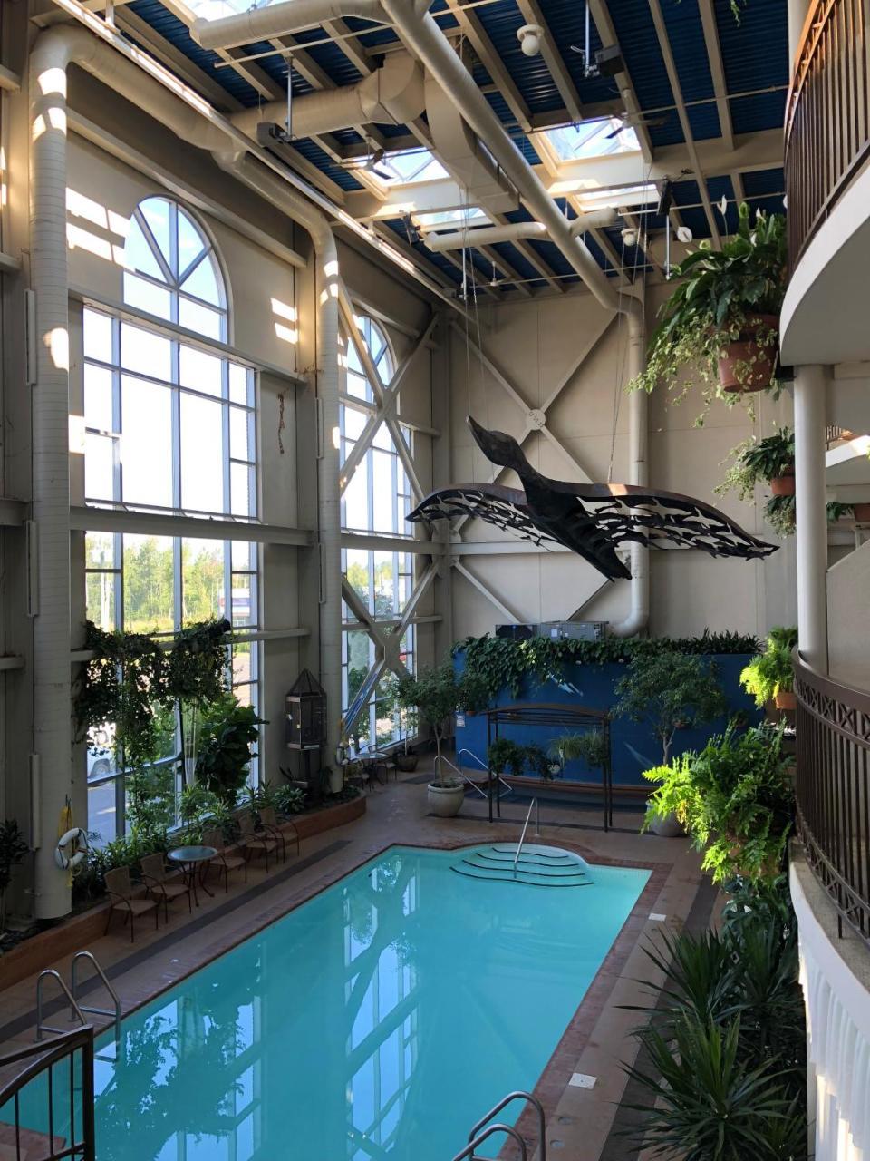 Hotel L'Oie Des Neiges Levis Bagian luar foto